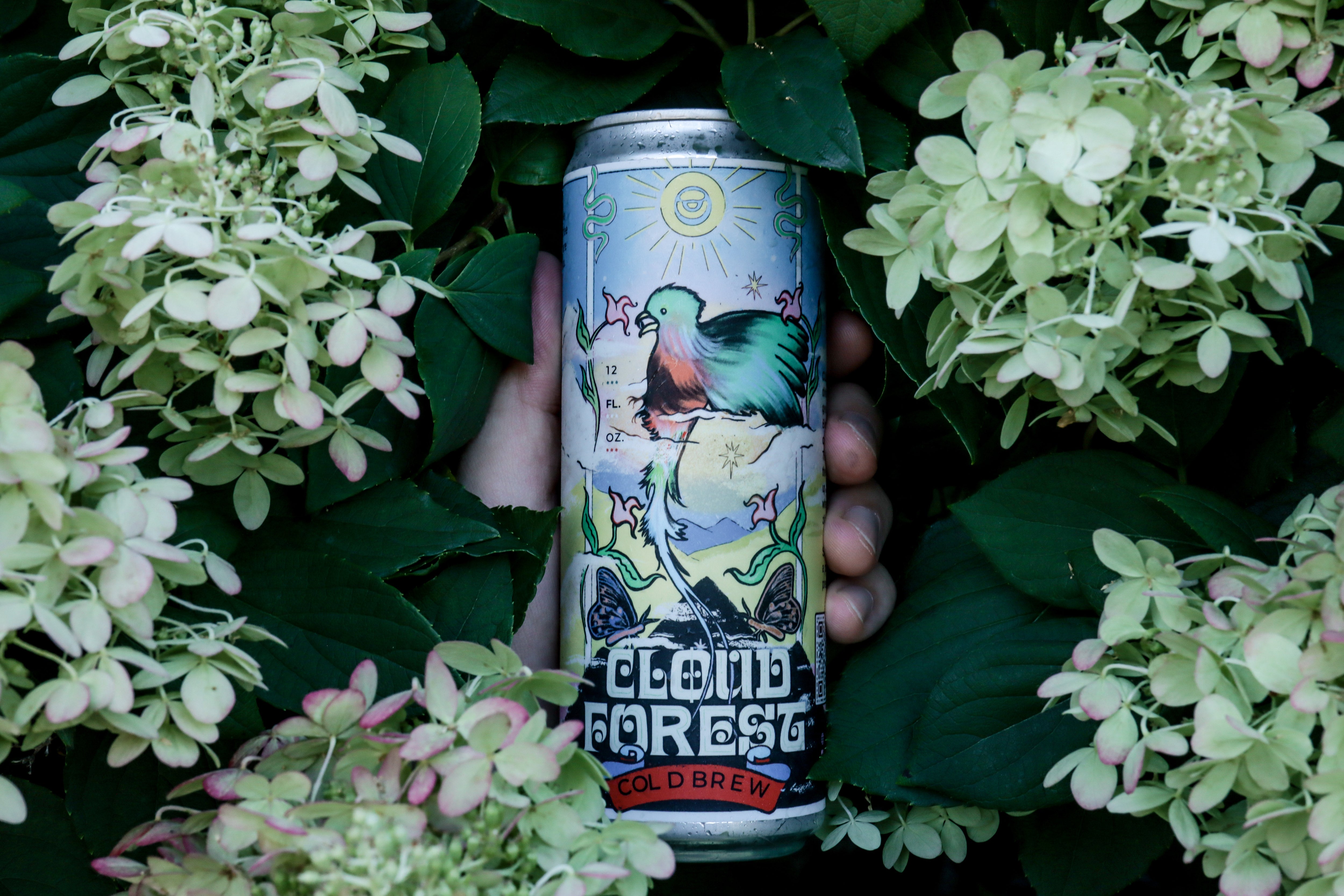 Cloud Forest Cold Brew – Salt City Coffee